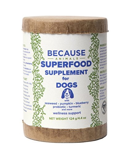 Because Animals Superfood Supplement for Dogs