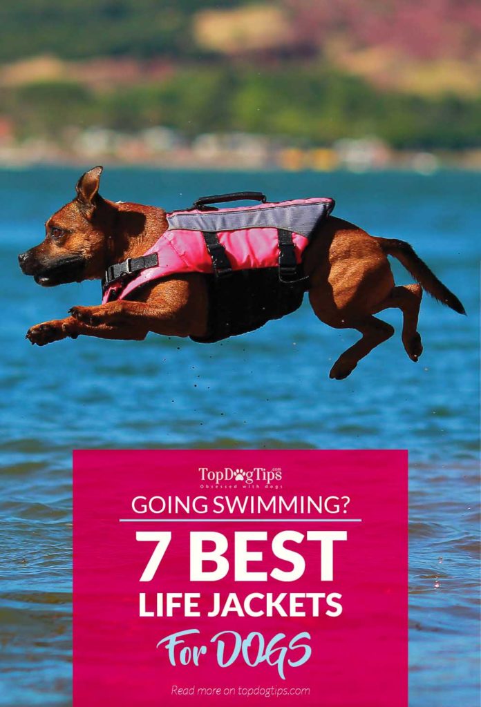 7 Top Rated Best Dog Life Jackets