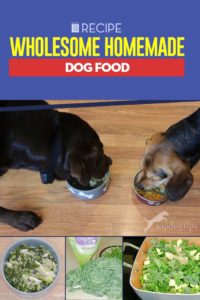 A Good Wholesome Homemade Dog Food Recipe