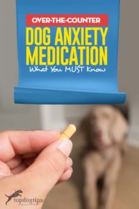 Tips on Using Over the Counter Dog Anxiety Medication