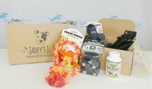 Jadeys JuJu Dog Subscription Box Review