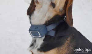 PetSafe Spray Bark Collar