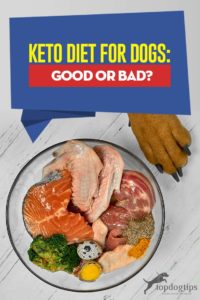 The Guide to Keto Diet for Dogs - Is It Good or Bad