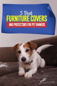 Top 5 Best Dog Furniture Covers and Protectors