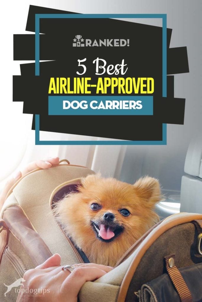 Top Rated Best Airline Approved Dog Carrier Brands