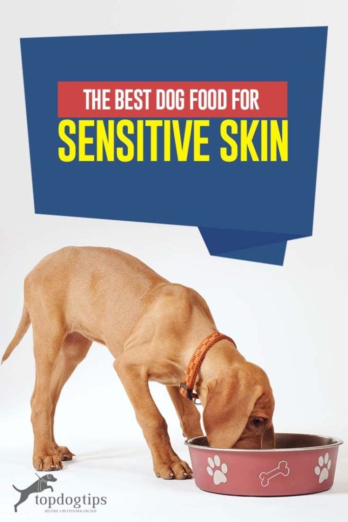 Top Rated Best Dog Food for Sensitive Skin