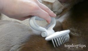 happyhund Dog Brushes