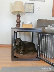 unipaws End Table Dog Crate Review