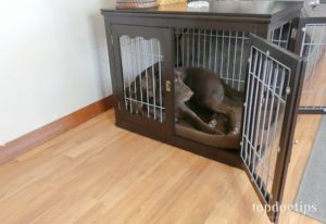 best dog crates for training