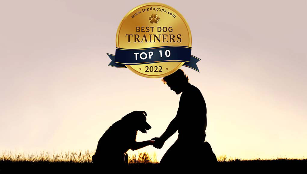 America’s Best Dog Trainers 2022