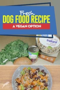 Healthy Fresh Dog Food Recipe - Vegan Option