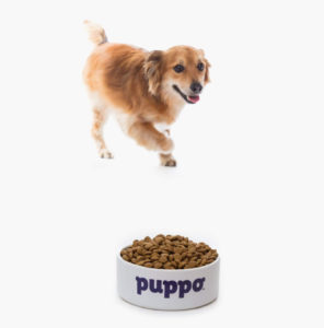 Puppo Personalized Dry Dog Food