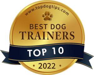 Top 10 Best Dog Trainers 2022