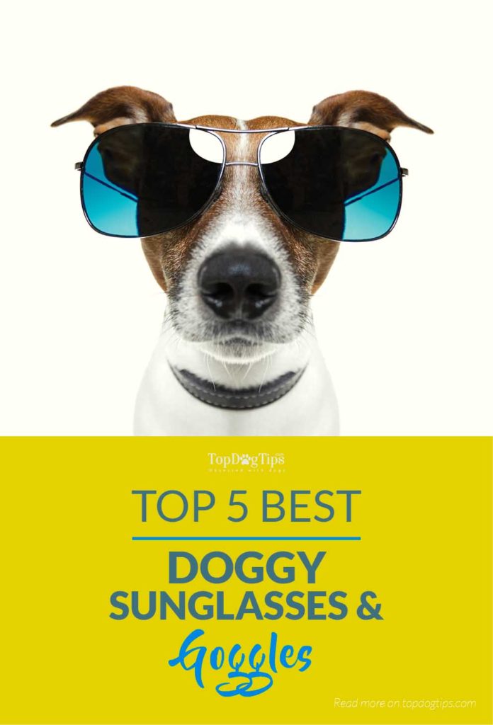 Top Rated 5 Best Dog Sunglasses