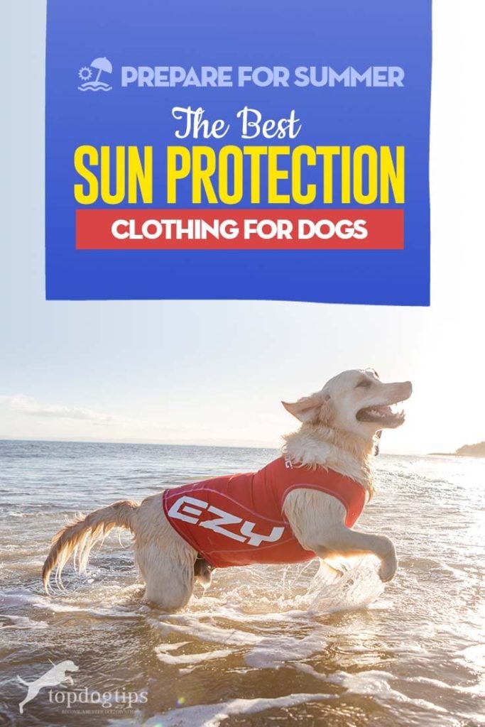 Top Rated Best Dog Sun Protection Clothing