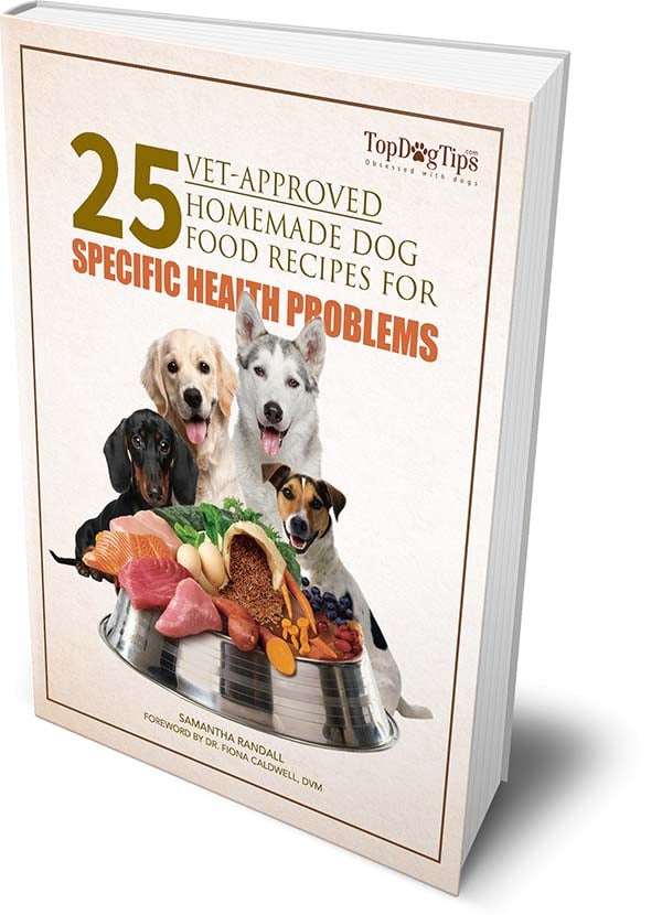 Vet Recommended Homemade Dog Food Recipes Book