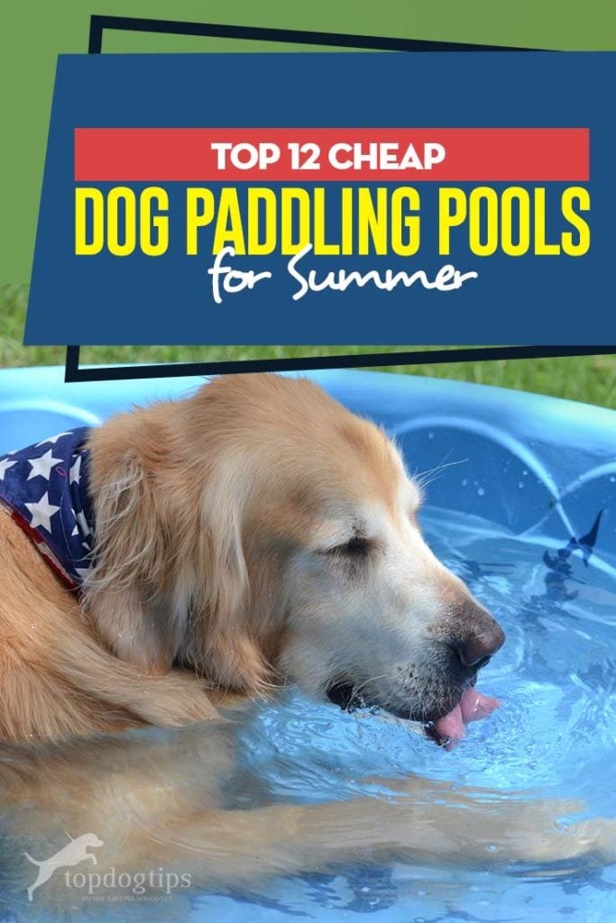 12 Top Rated Cheap Dog Paddling Pools for Summer