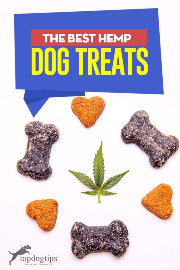 5 Top Rated Hemp Treats for Dogs