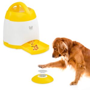 Arf Pets Memory Training Puzzle Toy