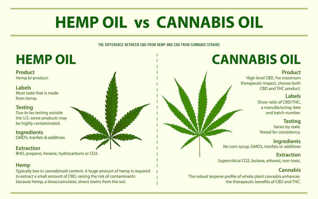 CBD oil vs hemp oil for dogs