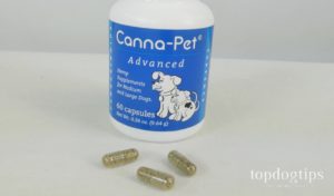 Canna-Pet Hemp Products for Dogs