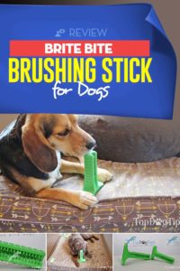 Review - Brite Bite Brushing Stick for Dogs