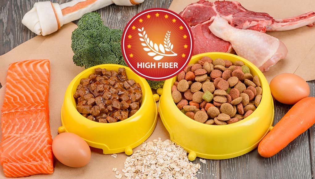 The Best High Fiber Dog Foods for Anal Gland Problems