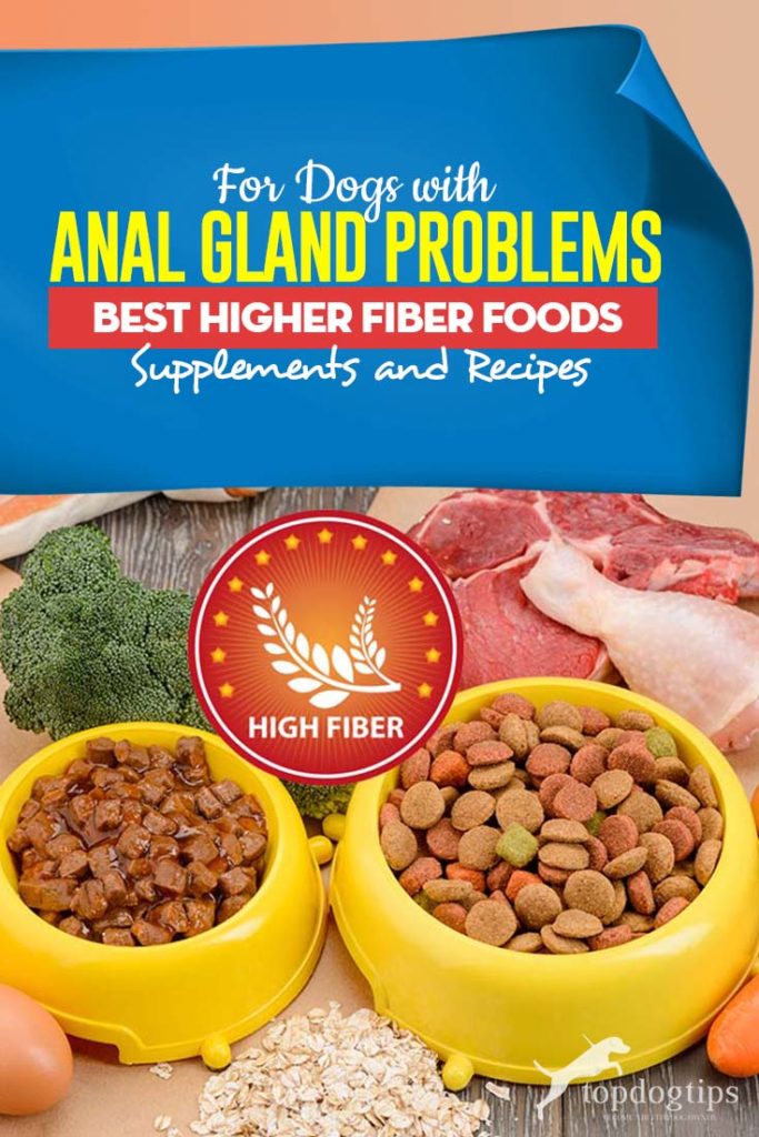 Top Best High Fiber Dog Foods for Anal Gland Problems