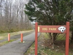 Crowded, Poorly Structured Fenced Dog Parks