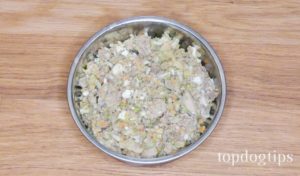 Dog Food Recipe for Congestive Heart Failure