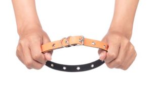 How Often Dog Collar Accidents Happen