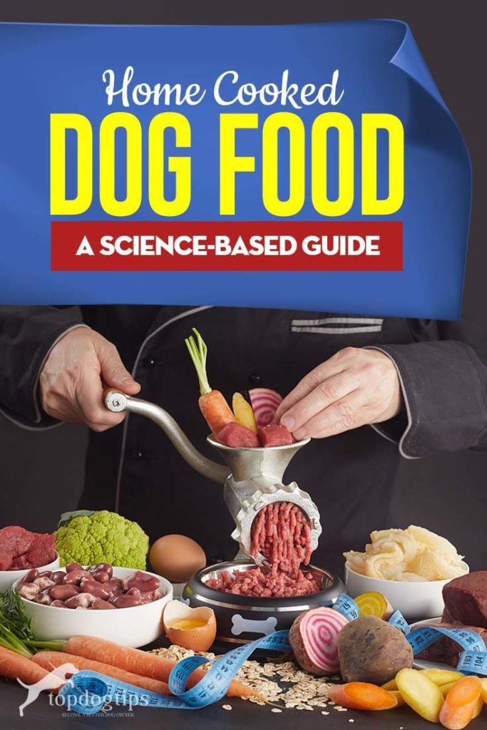 The Science-based Guide to Home Cooked Dog Food Recipes