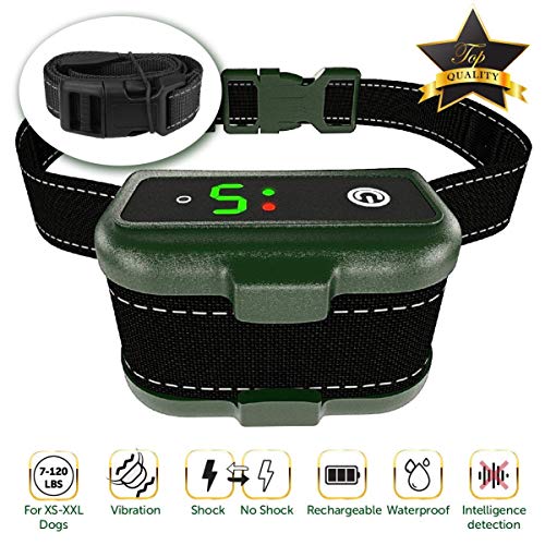 TBI Pro Dog Training Collar with Remote