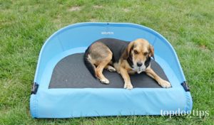 Gen7Pets Cool-Air Cot Review