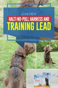 Halti No-Pull Harness and Training Lead Review