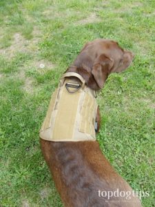 Rabbitgoo Tactical Dog Harness