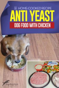 Recipe of Anti Yeast Dog Food with Chicken