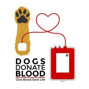 Can dogs donate blood