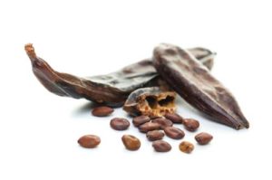 Human Foods For Dog's Shiny Coat: Carob for dogs