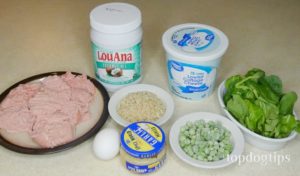 Homemade Dog Food with Cottage Cheese