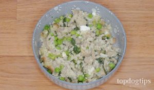 Homemade Dog Food with Cottage Cheese