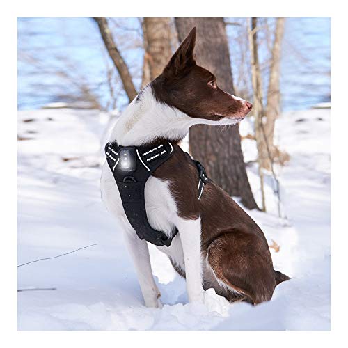 Rabbitgoo Light-Up Dog Harness