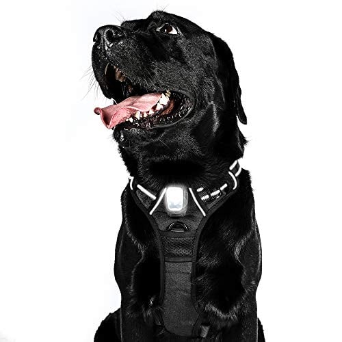 Rabbitgoo Light-Up Dog Harness Giveaway