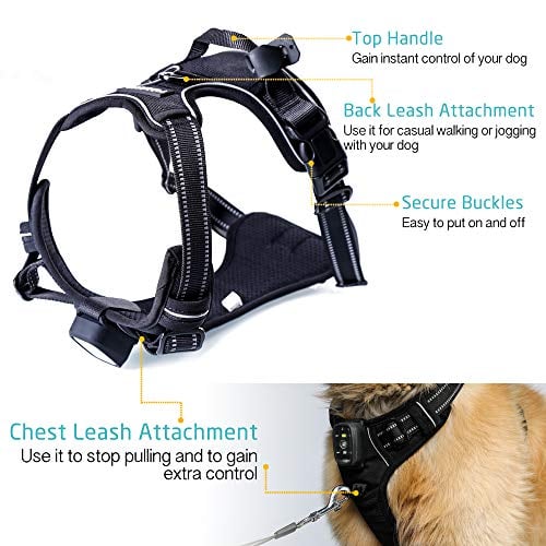 Rabbitgoo Light-Up LED Dog Harness