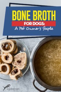 Bone Broth for Dogs - A Pet Owner's Staple