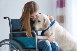 Can I Use My Pet as a Service Dog