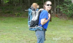 dog carrier backpack