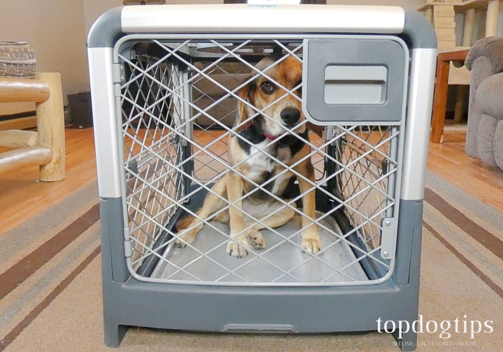 Dog crate and dog cage Combination 