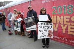 Yulin dog festival protestors