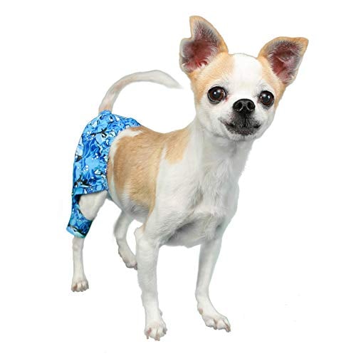 Pooch Outfitters Swim Trunk & Bikini Collection